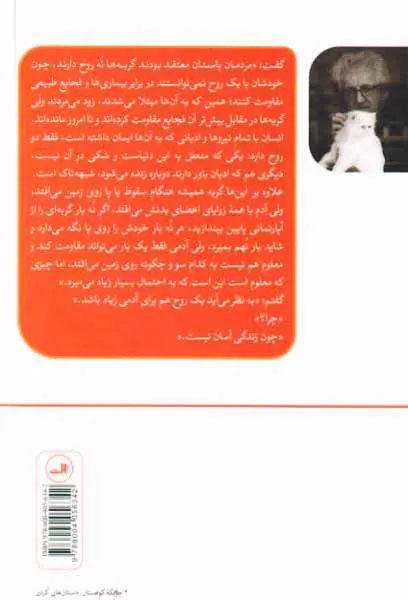 خانه گربه ها